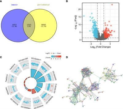 Frontiers The Identification Of Tumor Antigens And Immune Subtypes